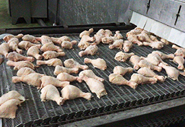 冷凍食品機(jī)械加工批發(fā)案例