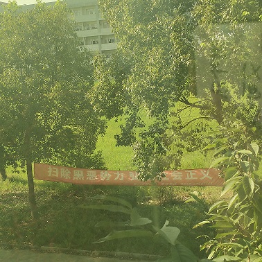 金屬輸送帶廠家認為掃黑除惡工作要持續(xù)進行