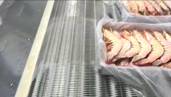 一款速凍大蝦時(shí)用到的隧道式冷凍網(wǎng)帶